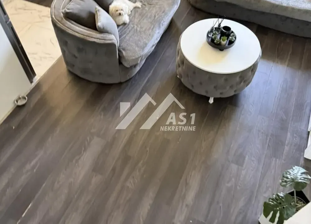 Izdavanje, jednosoban stan, 15m², Detelinara, Novi Sad Sve Podlokacije