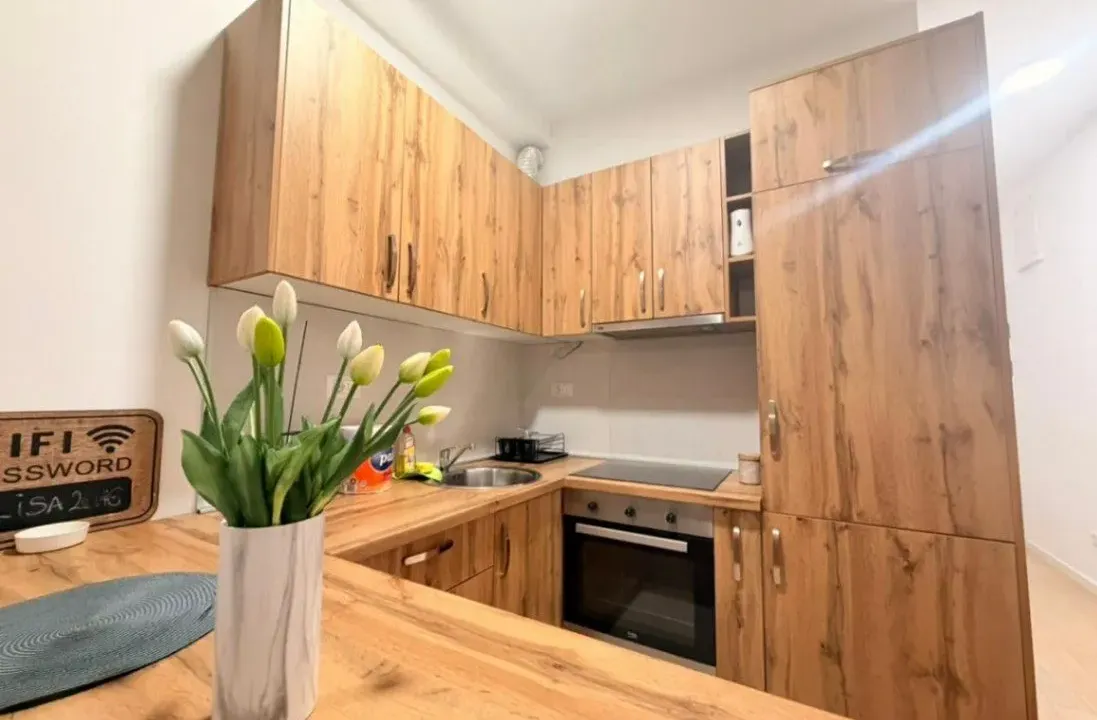 Izdavanje, garsonjera, 40m², Soho City, Bar