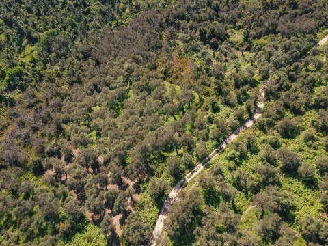 Prodaja, plac, 3030m², Ulcinj, Crna Gora - image 2