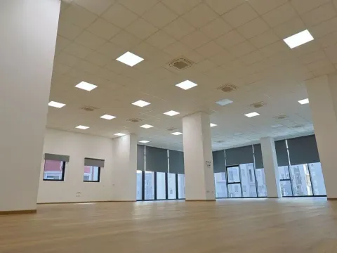 Izdavanje, poslovni prostor, 273m², Zabjelo, Podgorica - image 2