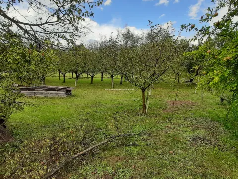 Sale, house, Begovina, Danilovgrad - image 9