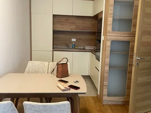 Izdavanje, jednosoban stan, 46m², New City, Podgorica - image 3