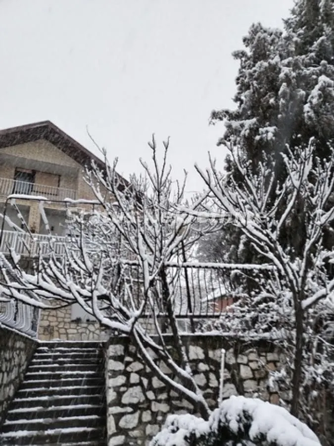 Sale, house, 210m², Beočin, Srbija