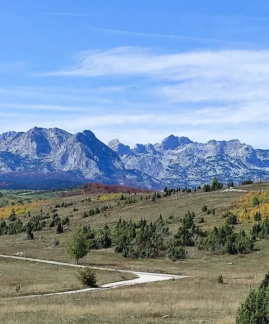 Prodaja, kuća, 180m², Žabljak, Crna Gora