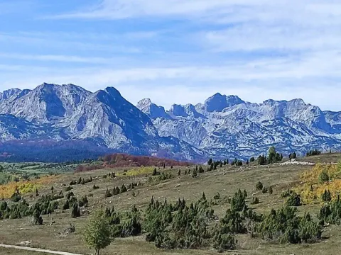 Prodaja, kuća, 180m², Žabljak, Crna Gora - image 3