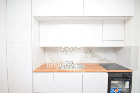 Rent, one bedroom apartment, 59m², Central Point, Podgorica - image 1045