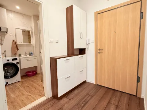 Izdavanje, jednosoban stan, 50m², Vezirov Most, Podgorica - image 7