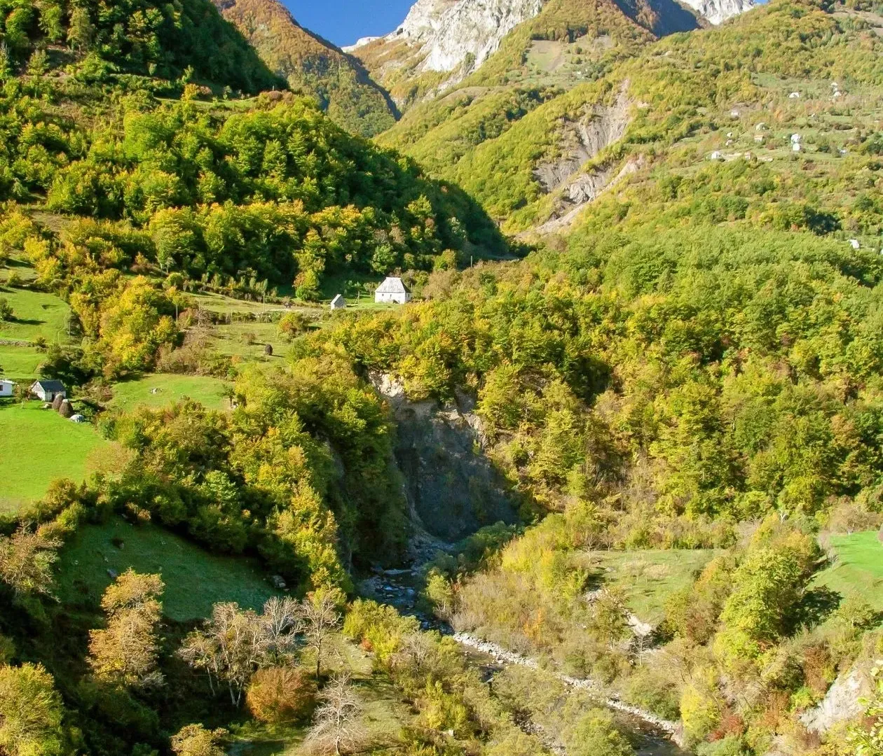 Prodaja, plac, 82000m², Dobrilovina, Mojkovac