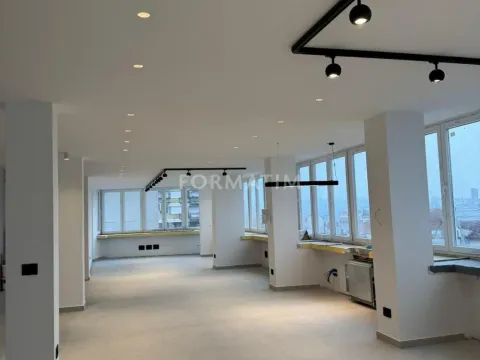 Izdavanje, poslovni prostor, 300m², Vračar Centar, Vračar Sve Podlokacije - image 6