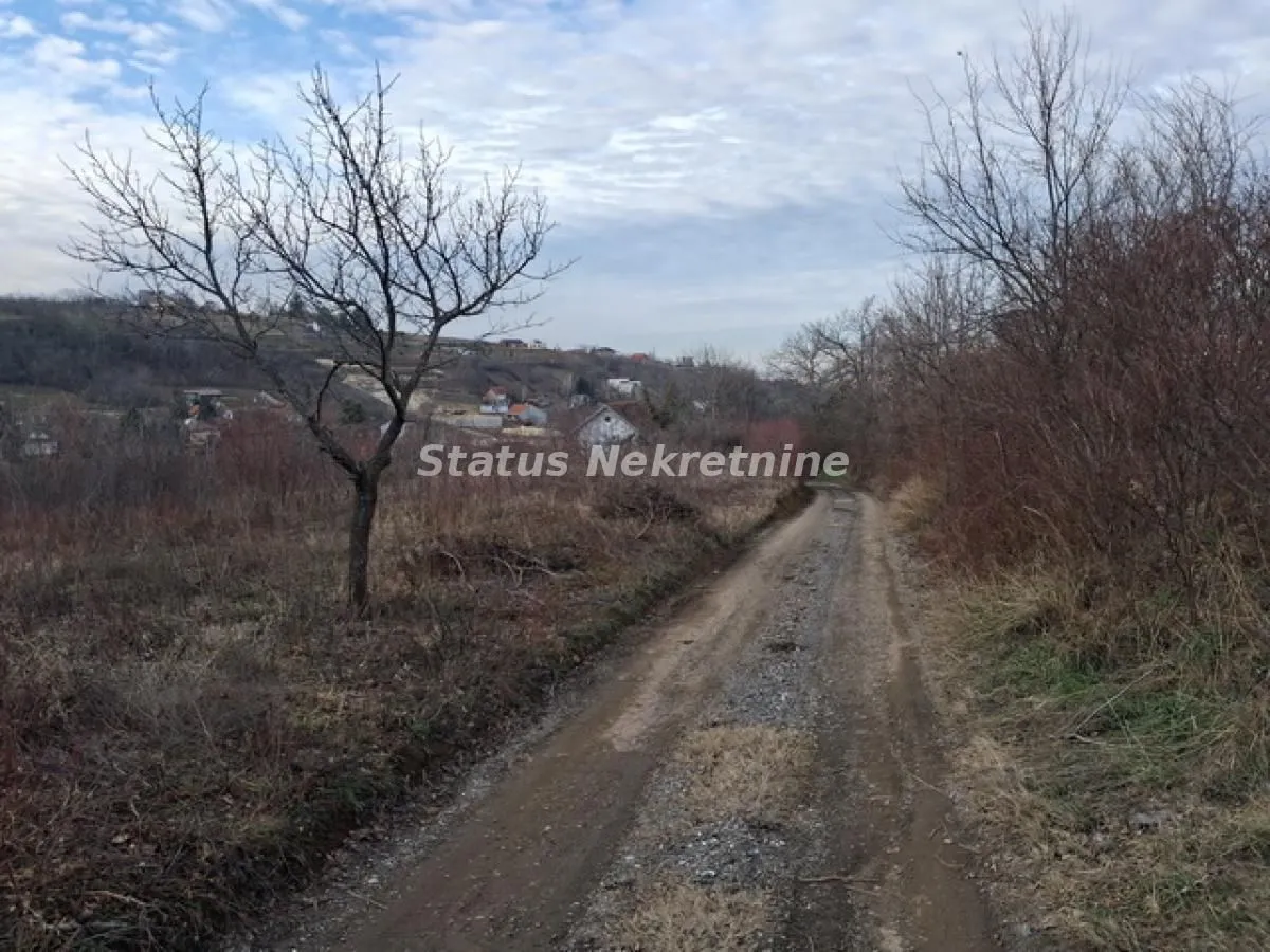 Prodaja, plac, 14994m², Ledinci, Petrovaradin