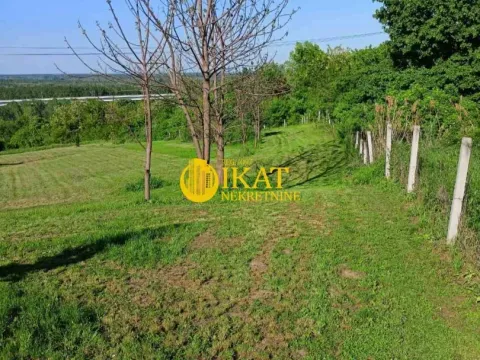 Prodaja, plac, 16000m², Čortanovci, Inđija - image 5