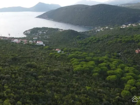 Sale, land lot, 9000m², Radovanići, Herceg Novi - image 2