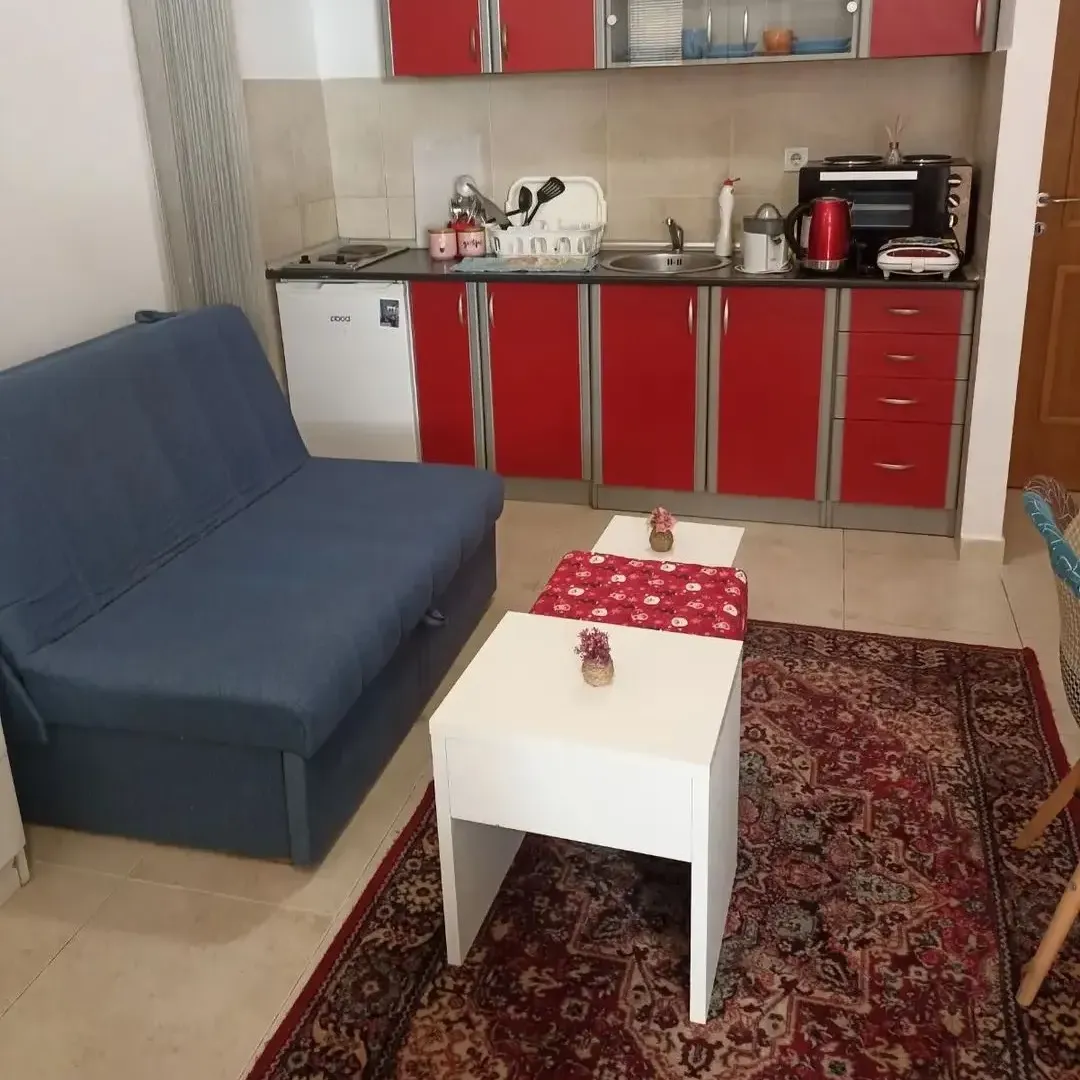 Izdavanje, jednosoban stan, 21m², Rozino, Budva