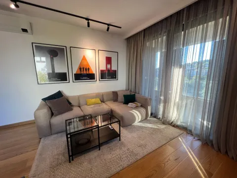 Rent, one bedroom apartment, 45m², Vezirov Most, Podgorica - image 2