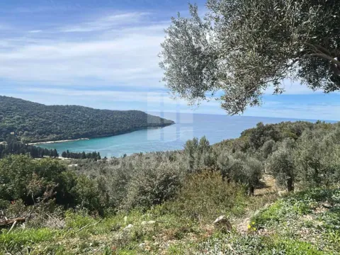 Prodaja, plac, 2000m², Bratica, Ulcinj - image 4