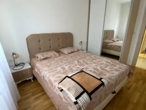 Rent, one bedroom apartment, 47m², Zabjelo, Podgorica - image 6