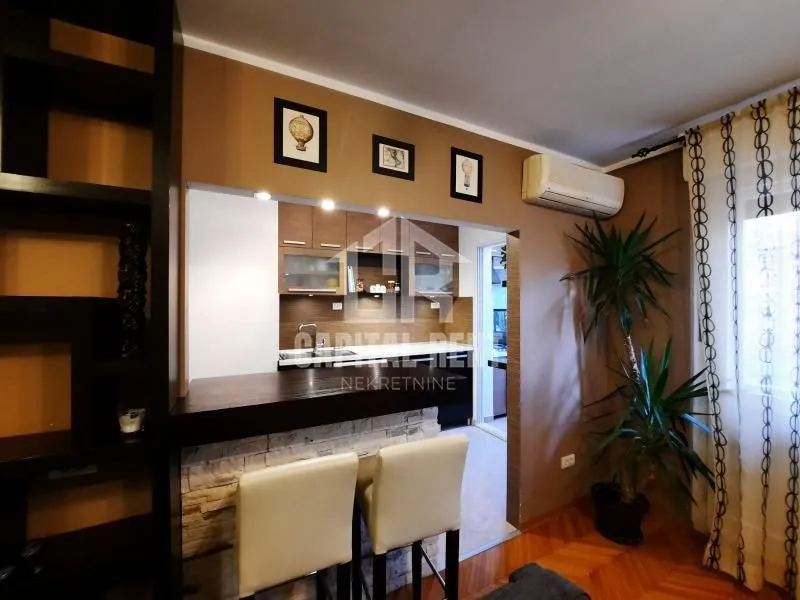Rent, two bedroom apartment, 50m², Vračar Centar, Vračar Sve Podlokacije
