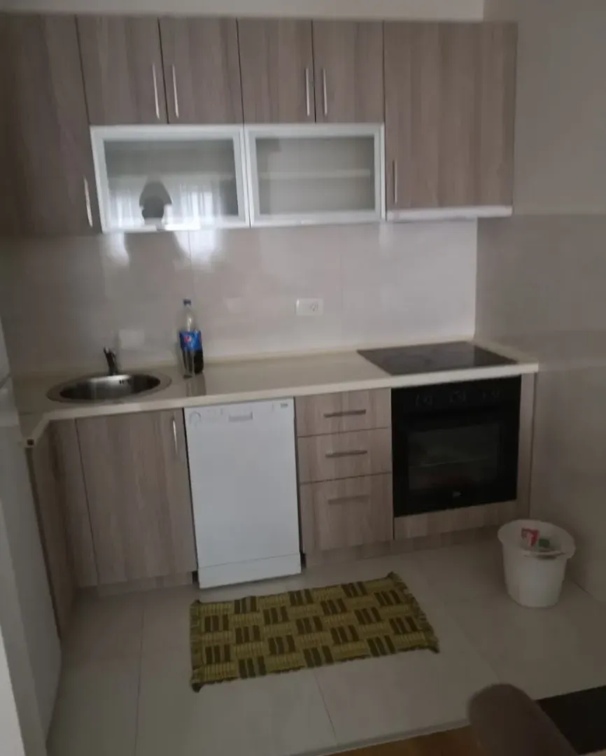 Prodaja, jednosoban stan, 49m², Central Point, Podgorica