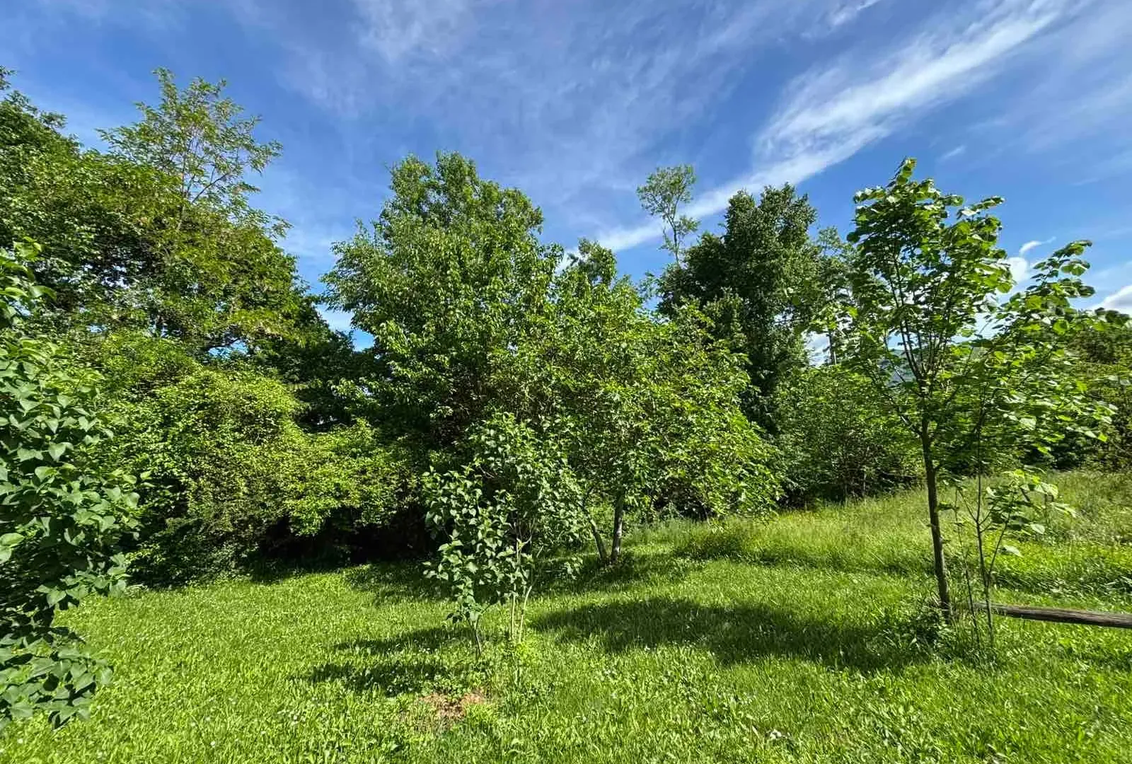 Sale, house, 200m², Kosić, Danilovgrad