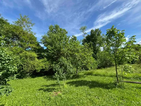 Prodaja, kuća, 200m², Kosić, Danilovgrad - image 5