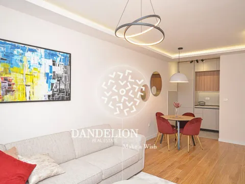 Izdavanje, jednosoban stan, 46m², Central Point, Podgorica - image 2