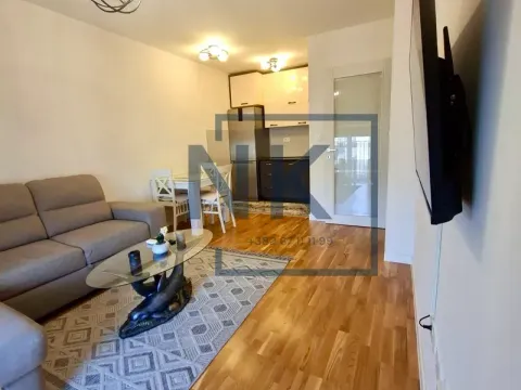 Izdavanje, jednosoban stan, 40m², Tuški Put, Podgorica - image 2