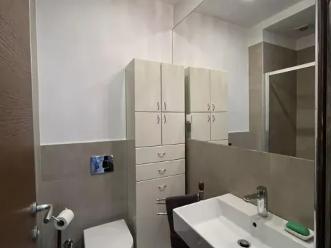 Izdavanje, dvosoban stan, 45m², Zvezdara Sve Podlokacije, Beograd - image 9