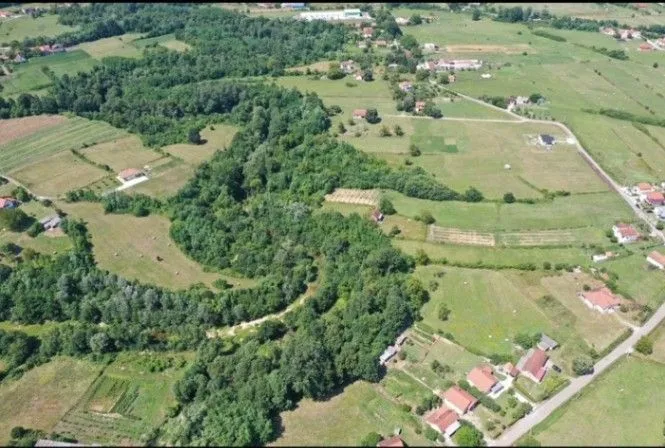 Sale, land lot, 15700m², Novo Selo, Danilovgrad