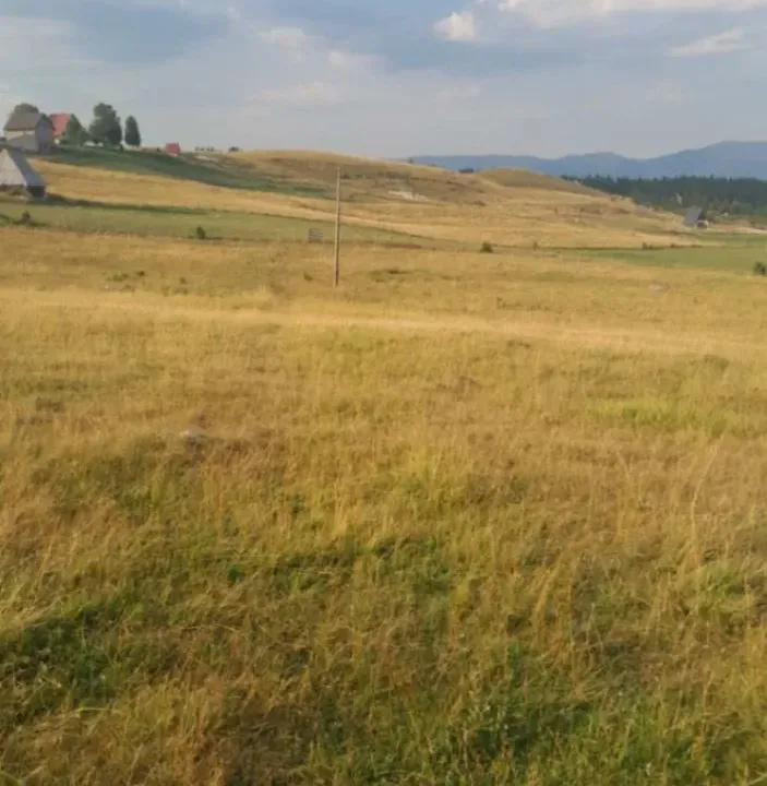 Sale, land lot, 37000m², Kovačka Dolina, Žabljak