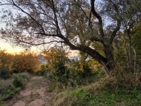 Sale, land lot, 380m², Zaljevo, Bar - image 10