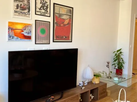 Rent, one bedroom apartment, 50m², Central Point, Podgorica - image 2