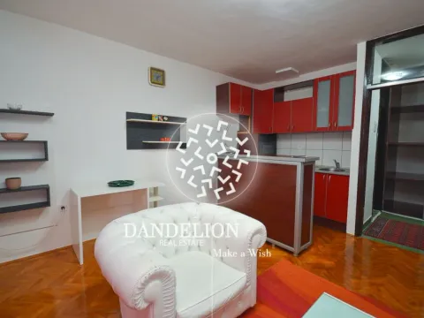 Izdavanje, jednosoban stan, 48m², Malo Brdo, Podgorica - image 9