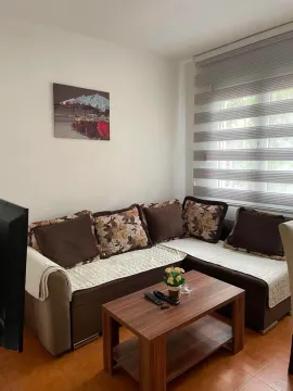 Rent, one bedroom apartment, 38m², Preko Morače, Podgorica - image 2