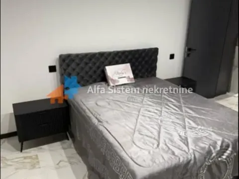 Izdavanje, dvosoban stan, 40m², Cvetkova Pijaca, Zvezdara Sve Podlokacije - image 12