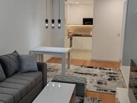 Izdavanje, jednosoban stan, 45m², Telep, Novi Sad Sve Podlokacije - image 2