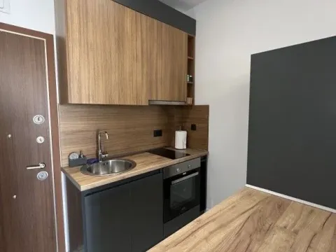 Izdavanje, jednosoban stan, 40m², Bečići, Budva - image 7