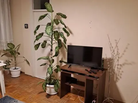 Izdavanje, jednosoban stan, 30m², Liman 3, Novi Sad Sve Podlokacije - image 5