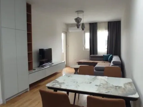 Izdavanje, jednosoban stan, 47m², Central Point, Podgorica - image 1