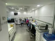 Sale, one bedroom apartment, 66m², Vračar Hram, Vračar Sve Podlokacije - image 9