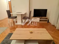 Izdavanje, dvosoban stan, 43m², Grbavica, Novi Sad Sve Podlokacije - image 3