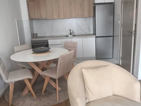 Izdavanje, jednosoban stan, 45m², Zabjelo, Podgorica - image 7