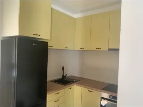 Izdavanje, jednosoban stan, 42m², Centar, Podgorica - image 8