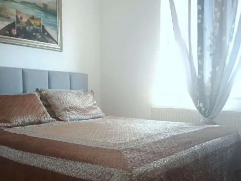 Sale, two bedroom apartment, 52m², Bulevar Oslobodjenja, Novi Sad Sve Podlokacije - image 5