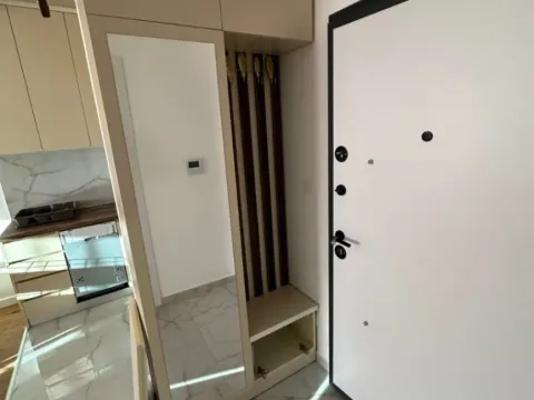 Izdavanje, jednosoban stan, 39m², Zabjelo, Podgorica - image 10