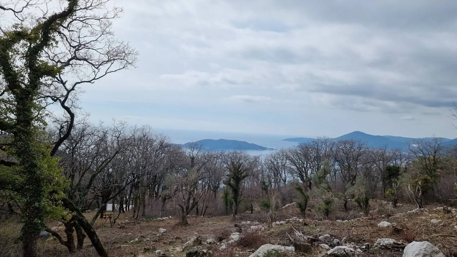 Prodaja, plac, 2170m², Kuljače, Budva