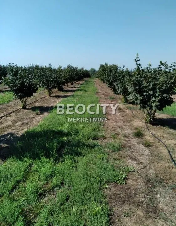 Prodaja, plac, 385m², Mramorak, Kovin