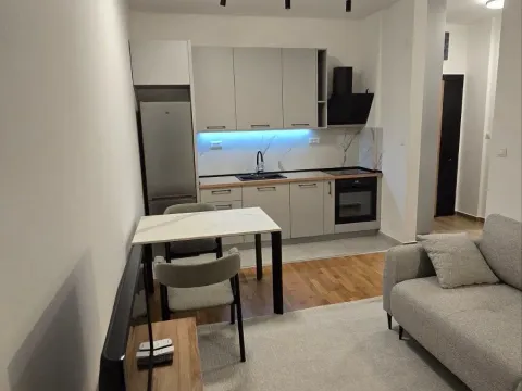 Izdavanje, jednosoban stan, 37m², Tološi, Podgorica - image 4