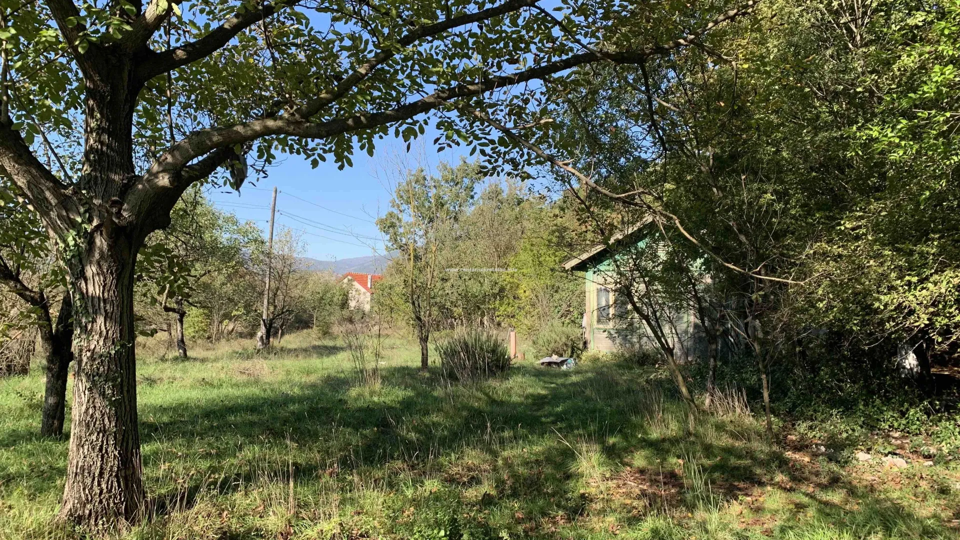 Prodaja, plac, 1500m², Daljam, Danilovgrad