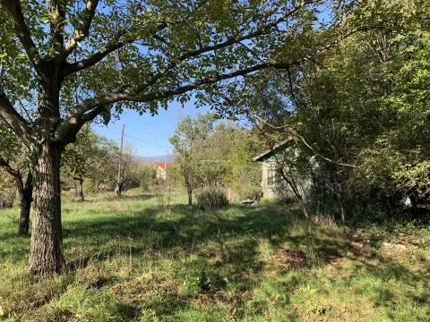 Prodaja, plac, 1500m², Daljam, Danilovgrad - image 2