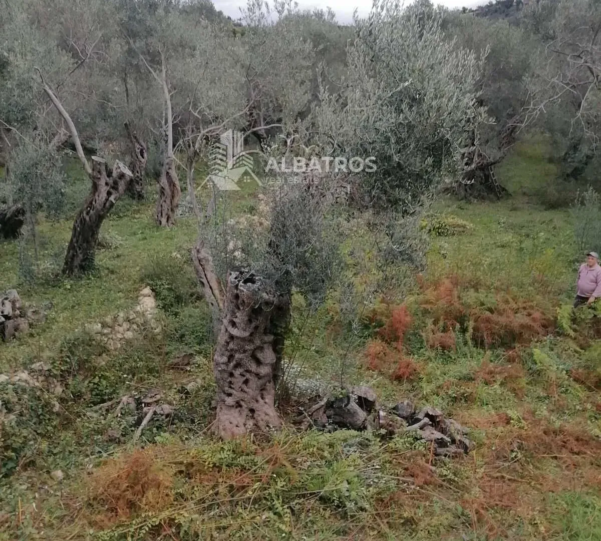 Prodaja, plac, 2250m², Ulcinj, Crna Gora